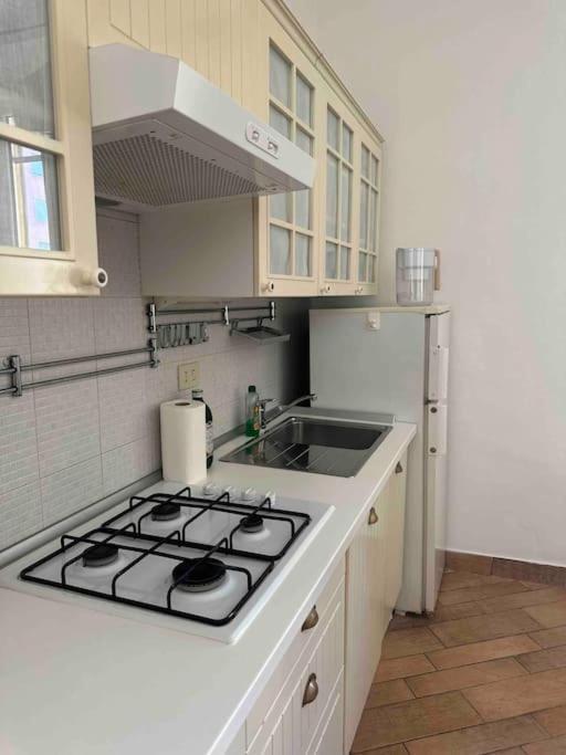 Xenia Apartments - Charming Garden Suite In Porta Venezia Milan Exterior photo